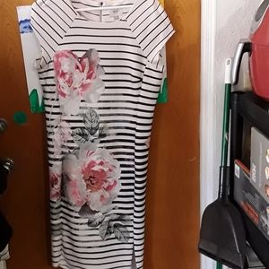 Eci New York floral dress